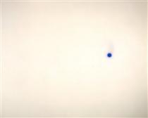Blue Spot - Bernard Cohen