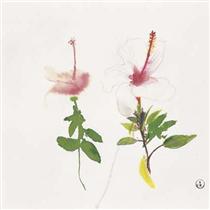 Hibiscus - Brett Whiteley
