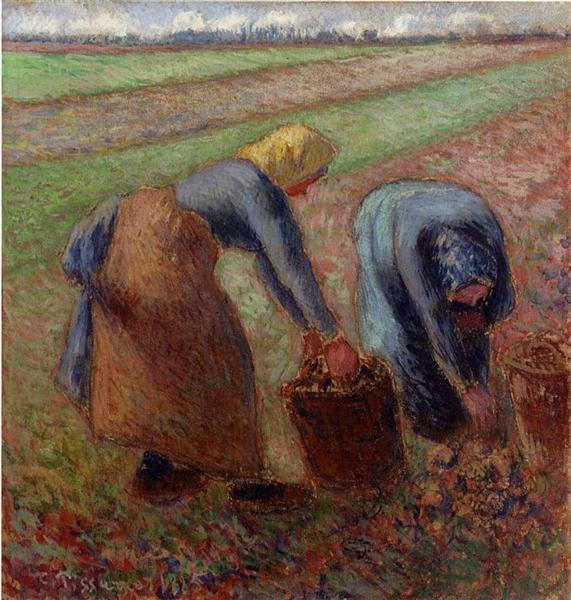 Potato Harvest, 1885 - Camille Pissarro