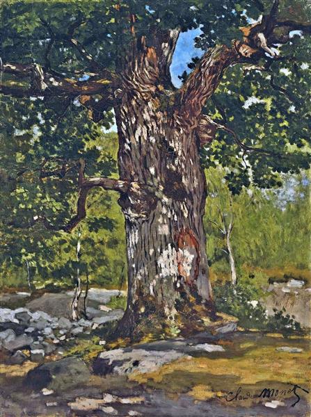 The Bodmer Oak, 1865 - Клод Моне