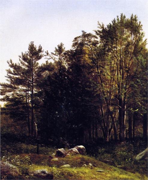 A Study near Tamworth, New Hampshire, 1863 - David Johnson