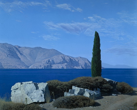 Classical Landscape, 1981 - Девід Лігар