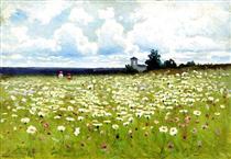 Field of Daisies - Юхим Волков