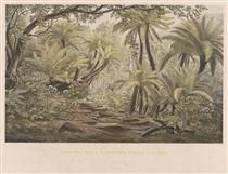 Ferntree Gully, Dandenong Ranges, Victoria - Eugene von Guérard