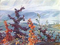 Scrub Oaks and Maples - Франклин Кармайкл