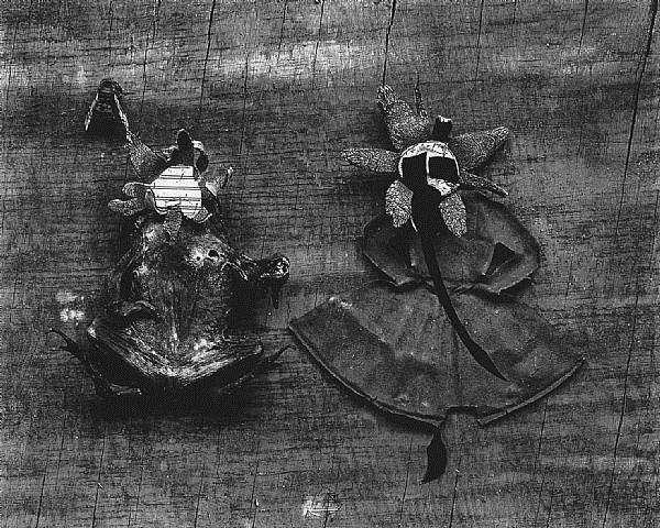 Flower and Frog, 1947 - Frederick Sommer