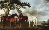Mares and Foals in a River Landscape - George Stubbs