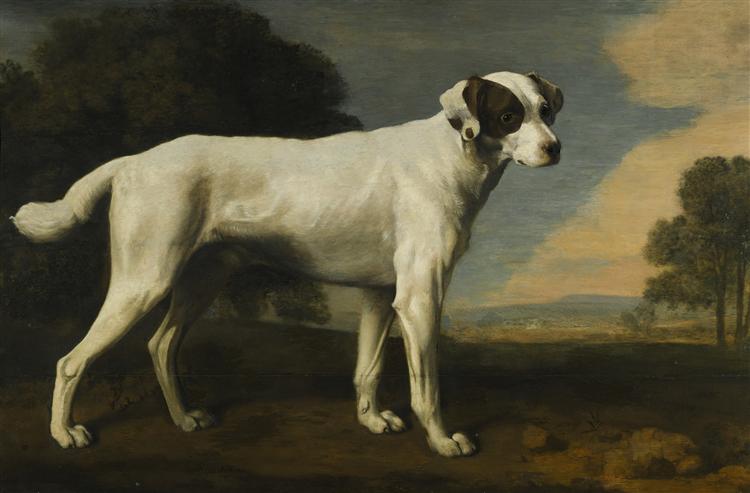 Viscount Gormanston's White Dog, 1781 - Джордж Стаббс