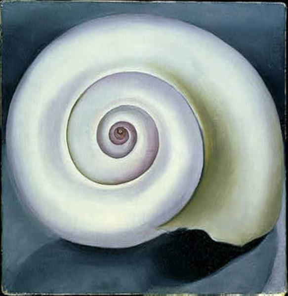 Shell No. I, 1928 - Georgia O’Keeffe