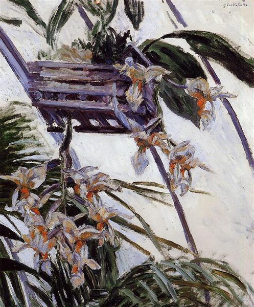 Orchids, 1893 - Gustave Caillebotte