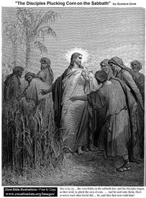 The Disciples Plucking Corn On The Sabbath - Gustave Doré