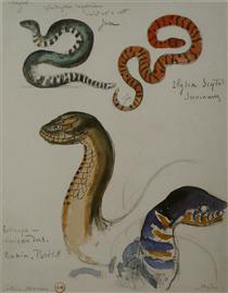 Four studies of snakes - Gustave Moreau