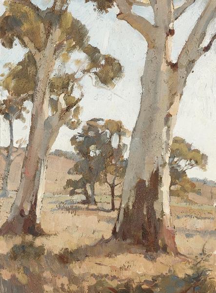 Study, Gum Trees, Woodside, 1926 - Horace Trenerry