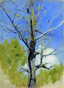 Trunk of burgeoning oak - Isaak Levitán