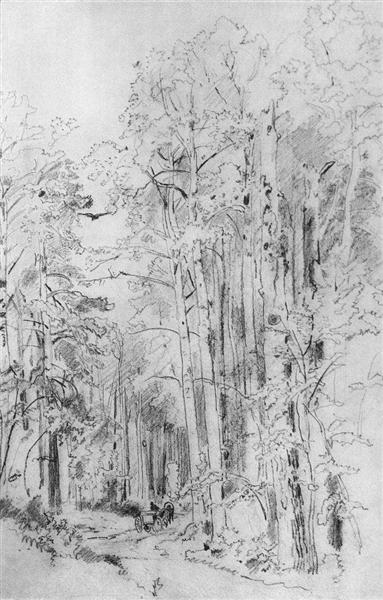 Àrvore do álamo tremedor no caminho para Kivach, 1889 - Ivan Shishkin