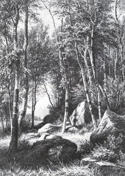 At the edge of a birch grove. Valaam, 1859 - 1860 - Iván Shishkin