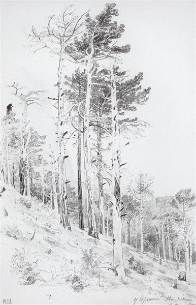 At the top of the Ai-Petri, 1879 - Ivan Shishkin