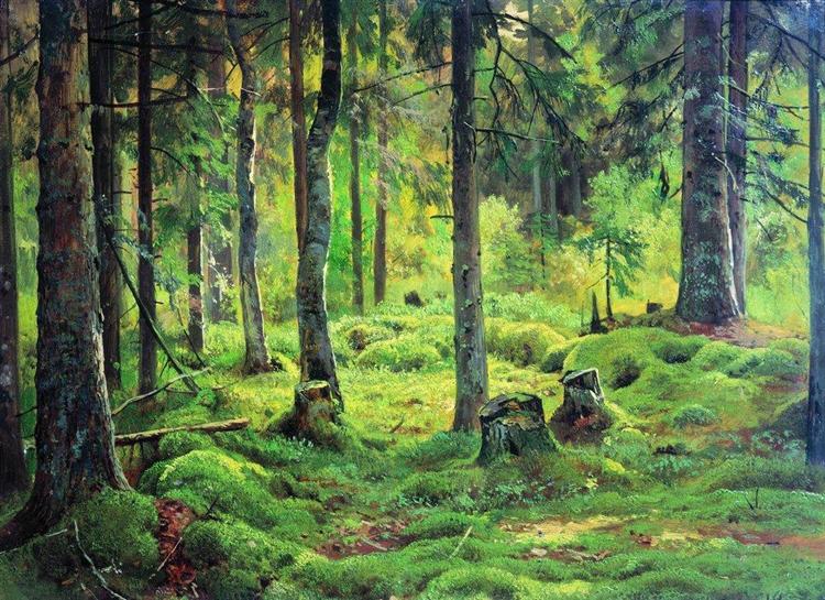 Deadwood, 1893 - Iwan Iwanowitsch Schischkin
