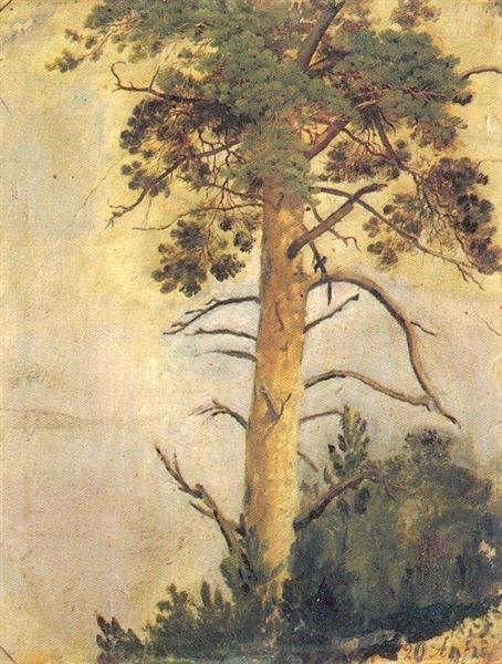 Pine on the cliff, 1855 - Iwan Iwanowitsch Schischkin