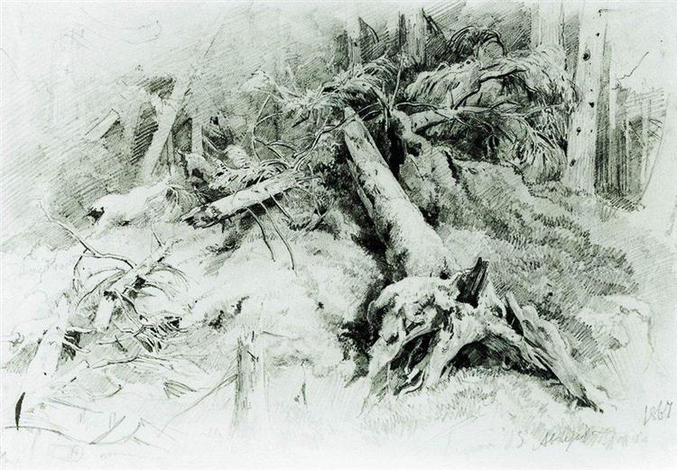 Wind Fallen Trees, 1867 - Іван Шишкін