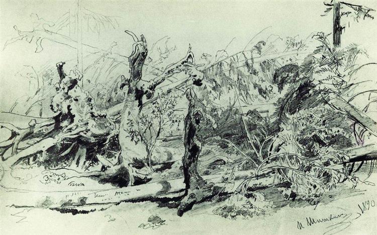 Wind Fallen Trees, 1890 - Іван Шишкін