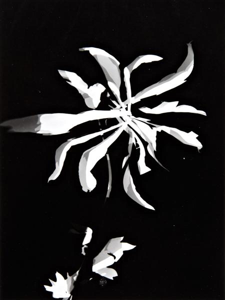 Changing patterns - Laszlo Moholy-Nagy