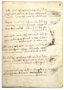 Codex on the flight of birds - Леонардо да Винчи