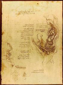 Сполучення напіврозітнутих чоловіка та жінки - Леонардо да Вінчі
