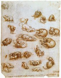 Study sheet with cats, dragon and other animals - Leonardo da Vinci