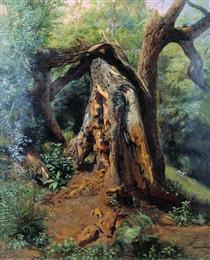 An old tree - Лев Лагорио