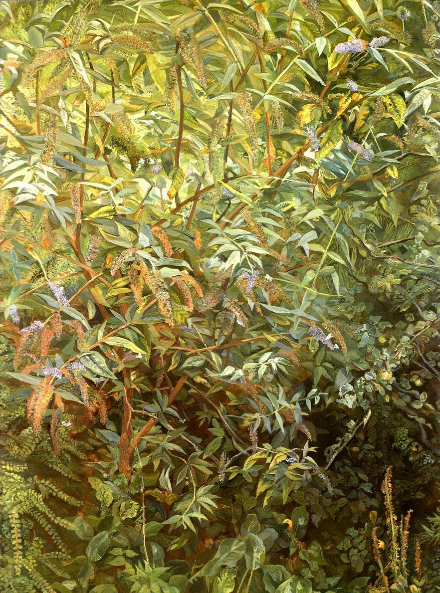 Garden, Notting Hill Gate, 1997 - Lucian Freud - WikiArt.org 