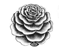 Flower - M.C. Escher