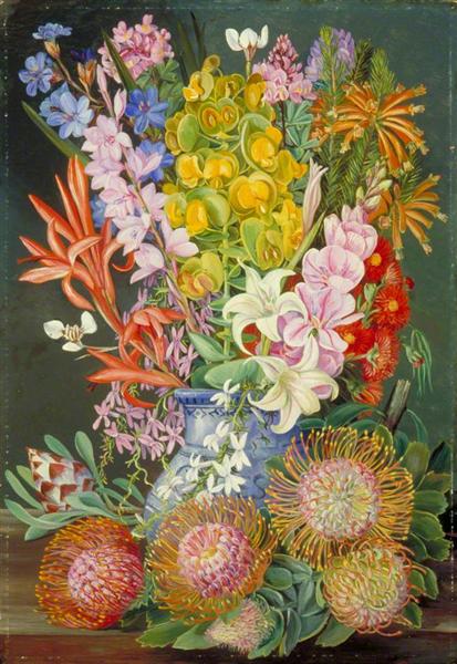 Wild Flowers of Ceres, South Africa, 1882 - Маріанна Норт