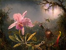 Cattleya Orchid and Three Brazilian Hummingbirds - Martin Johnson Heade