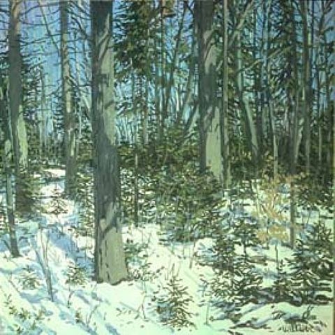 Study for Little Spruce, 1985 - Neil Welliver