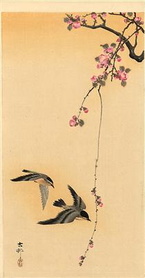 Cherry blossom with birds - Koson Ohara