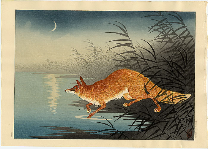 Fox in the reeds, c.1930 - Ohara Koson