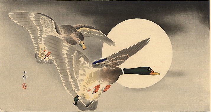 Geese In Flight Before A Full Moon - Охара Косон