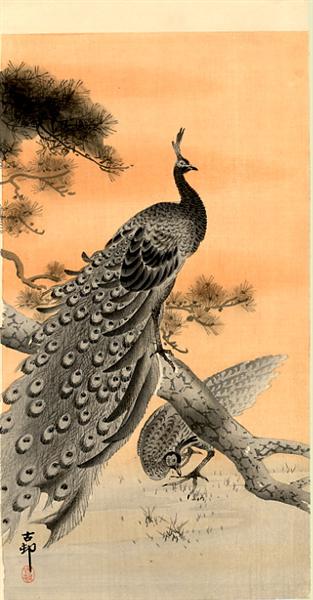 Peacock and Hen - 小原古邨
