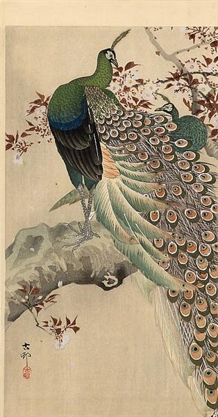 Two green peacocks on the bough of a flowering tree, c.1910 - Ohara Koson