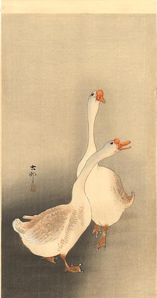 Two white geese - 小原古邨