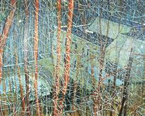 Architect's Home in the Ravine - Peter Doig
