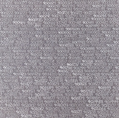 1965/1 - ∞, Detail - 羅曼·歐帕卡