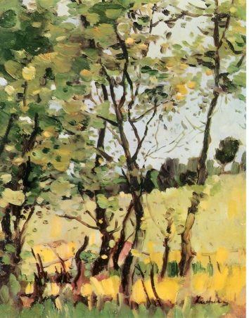 The River Meadow at Poduri, 1909 - Stefan Luchian