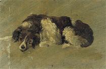 A dog - Тео ван Дусбург