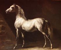 Cheval arabe gris-blanc - Théodore Géricault
