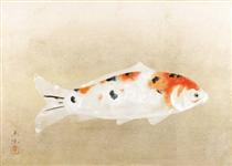 Higoi (Red carp) - 奥村土牛