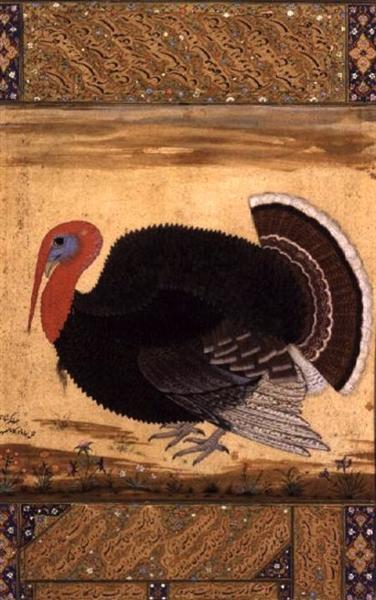 A turkey-Cock Brought to Jahangir from Goa in 1612 - Ustad Mansur