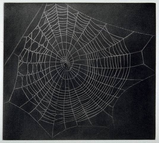 Untitled (Spider Web), 2000 - Vija Celmins