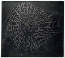 Untitled (Spider Web) - Vija Celmins